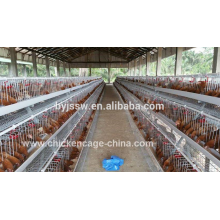 Nepal Layer Frango Bateria Gaiolas Para 10000 Aves Poultry Farm Design Layout